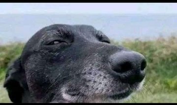 PatrickOketch2's tweet photo. @ledamalekina @WilliamsRuto @RailaOdinga How many votes do you personally have!? Or you're just delusional!? https://t.co/uHXuAZp5xB