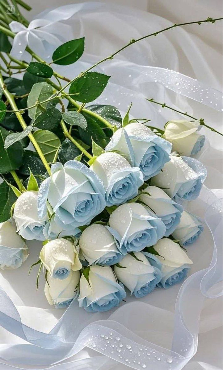 أمل وأمنيات tweet media