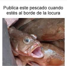 AYUDA