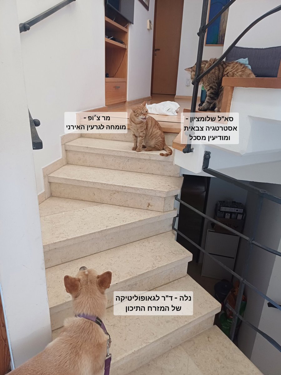 מומחי הפאנל דנים בתקיפה בקטאר
(דעות על מדרגות, 2025)
#שלומציוץ
#להחמיד_את_הפיד