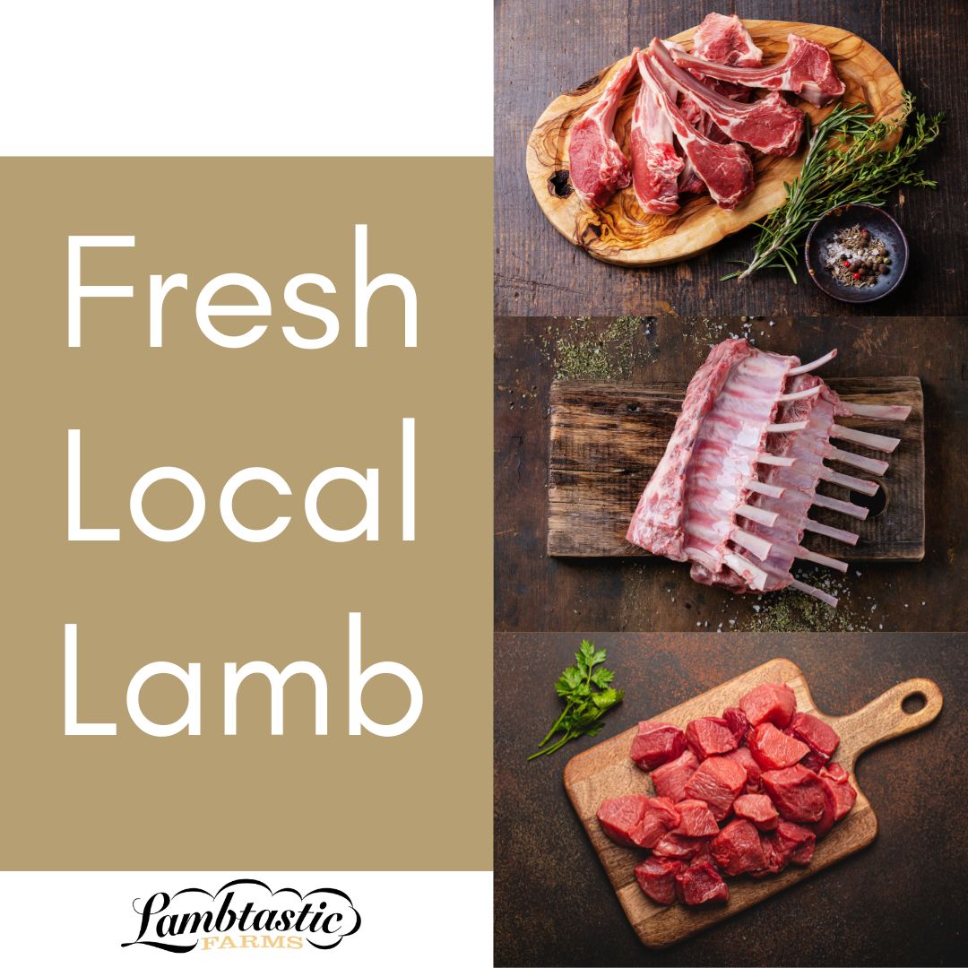 RayLambt's tweet photo. Lambtastic's high ethical standards ensure all livestock are raised in a healthy environment. They are raised without the use of hormones or animal by-product feeds. Nutrition plays a major role in the well-being of the flock!

#lambtastic #lambtasticfarms #lambing #shepherd https://t.co/kUiLLf0glb
