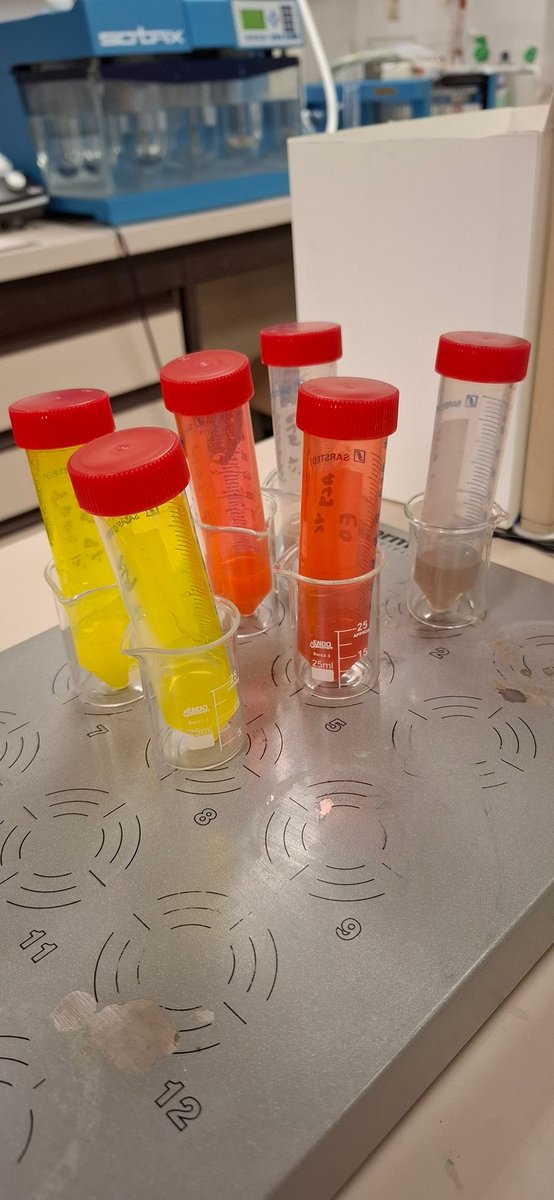 jpfuenzalidaw's tweet image. Playing with #colors , the visual confirmation to test if you master pipeting.. 🧪 🧫