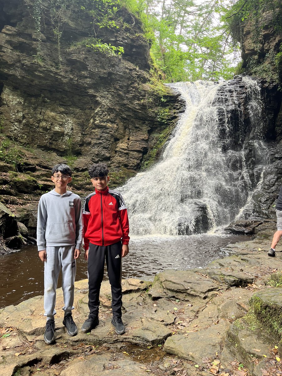 Wingrove Primary tweet media