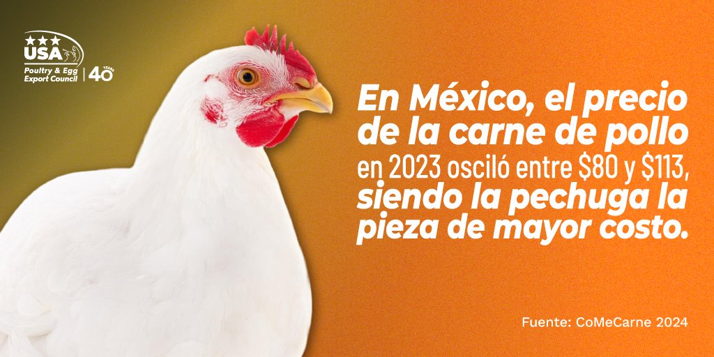 En 2023 el precio de la carne de pollo oscilo entre los $80 y los $113 pesos el kilo. 
#Precios #Pollo #Industria #Avicola #Datos