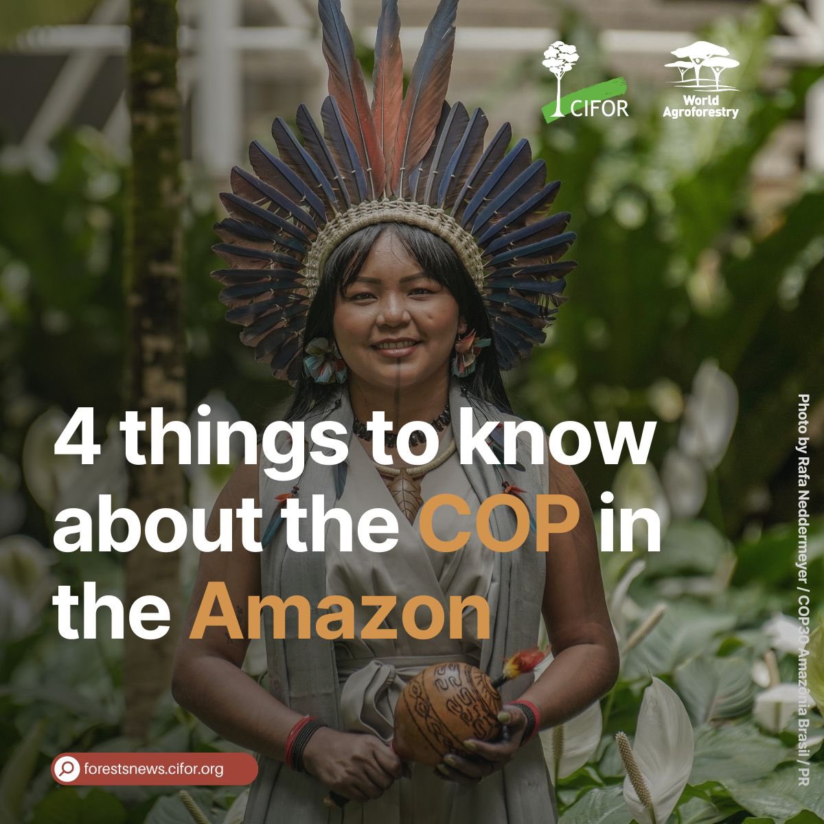 For the first time in history, the world’s largest climate conference is heading to the heart of the Amazon.

🇧🇷 As Belém gears up to host #COP30, here are 4 key things to know, from Brazil’s bold climate agenda to Indigenous-led solutions.

🔗: bit.ly/3HHK0Bf