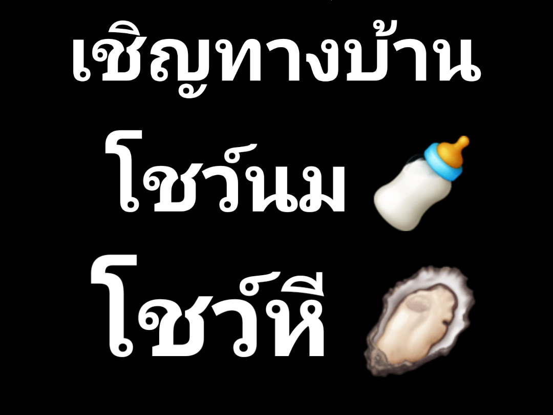 Thekoy tweet media