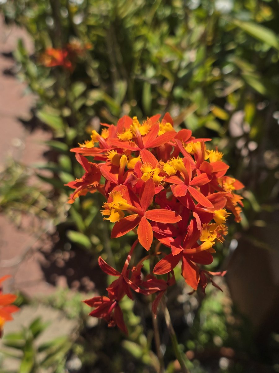 Lynda tarde 😊✌️