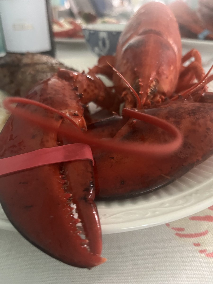 TonytheTiger57's tweet photo. #Lobstah #CapreseSalad https://t.co/FEbtXSCFyb