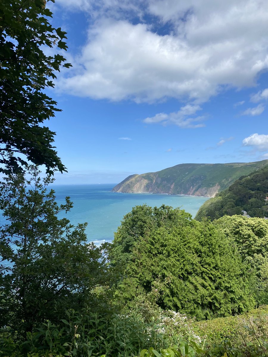 Brighton Beauty tweet media