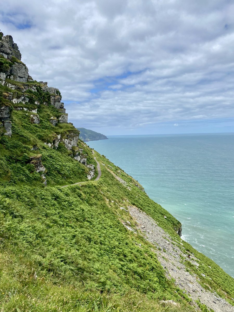 Brighton Beauty tweet media