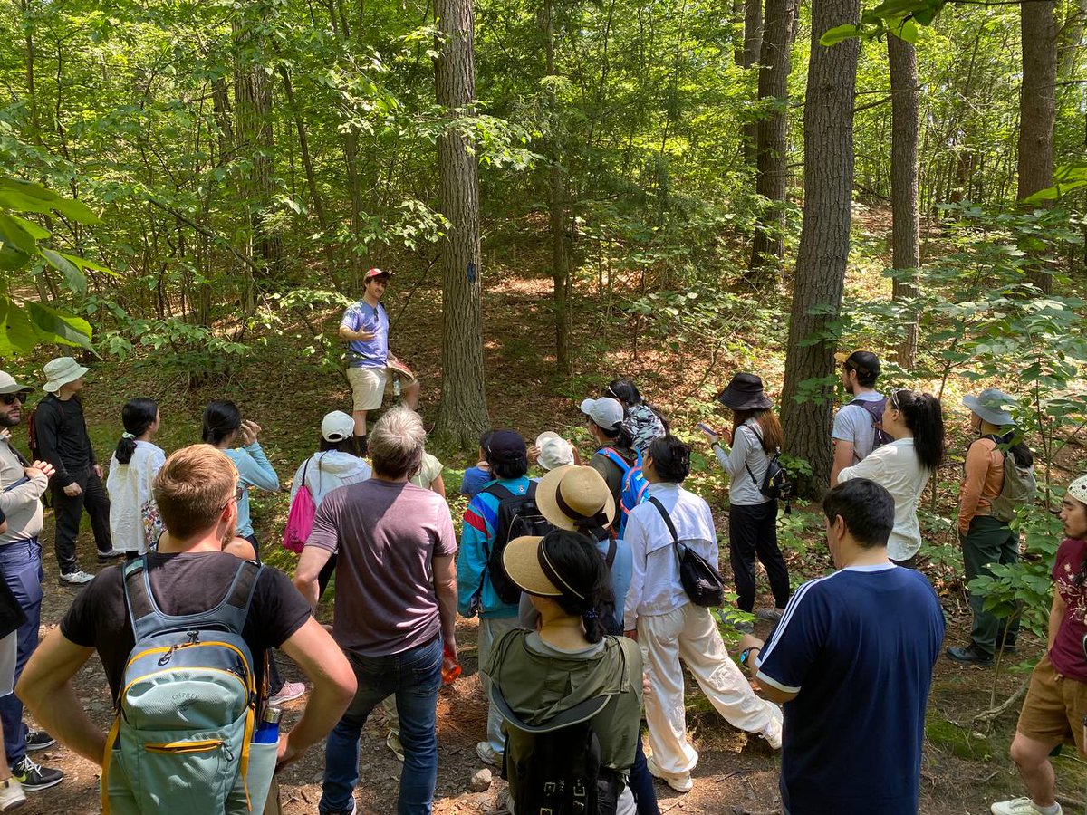 baystaters's tweet image. Another great forage for the books in #Massachusetts. Citizen mushroom science is changing the world