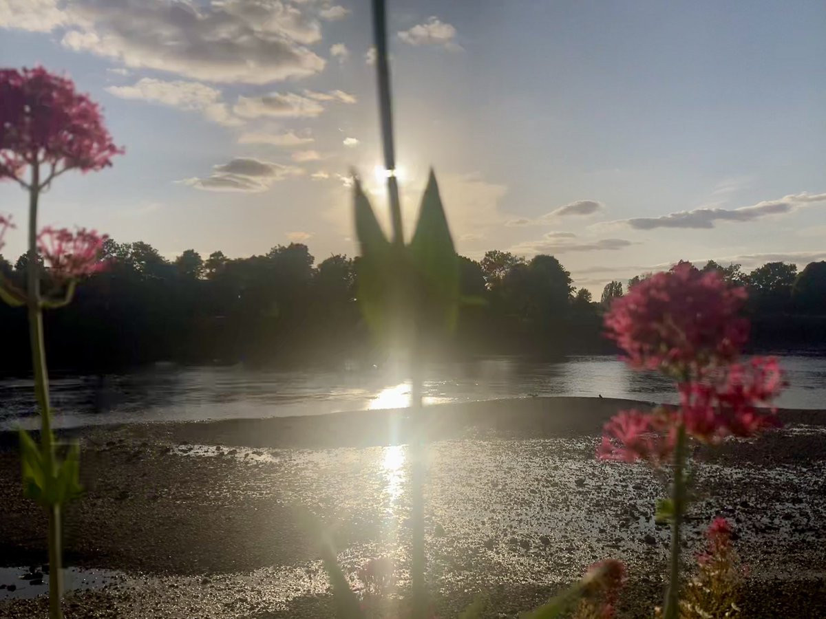 Valerian on Thames