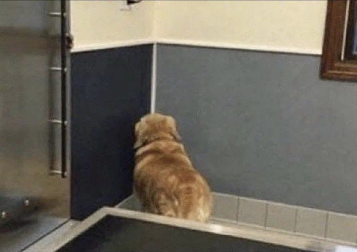 Skell_374's tweet image. Security guards in theft games: