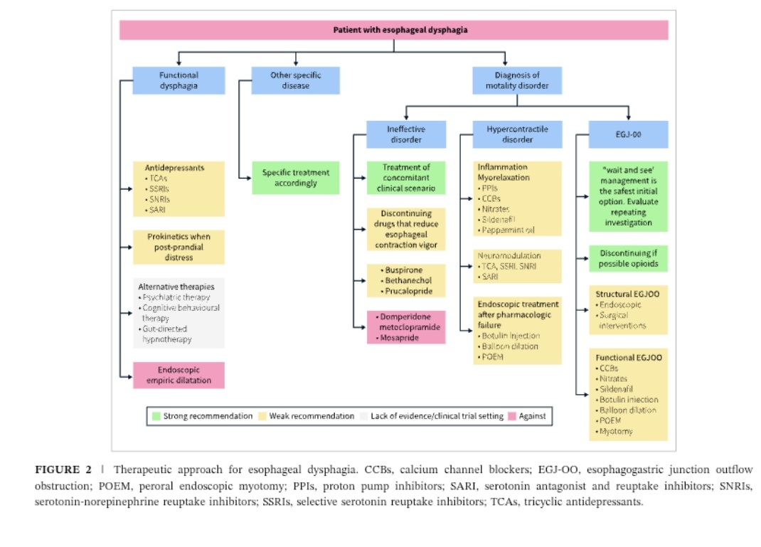 👩‍⚕️👨‍⚕️Esta semana comienza con una nueva guía clínica de la <a href="/my_ueg/">my_UEG</a> publicado en <a href="/UEGJournal/">UEGJ</a>

➡️ Del manejo de la disfagia orofaringea y esofágica

¿Cual debería ser nuestro enfoque diagnóstico y terapéutico de la disfagia esofagica?