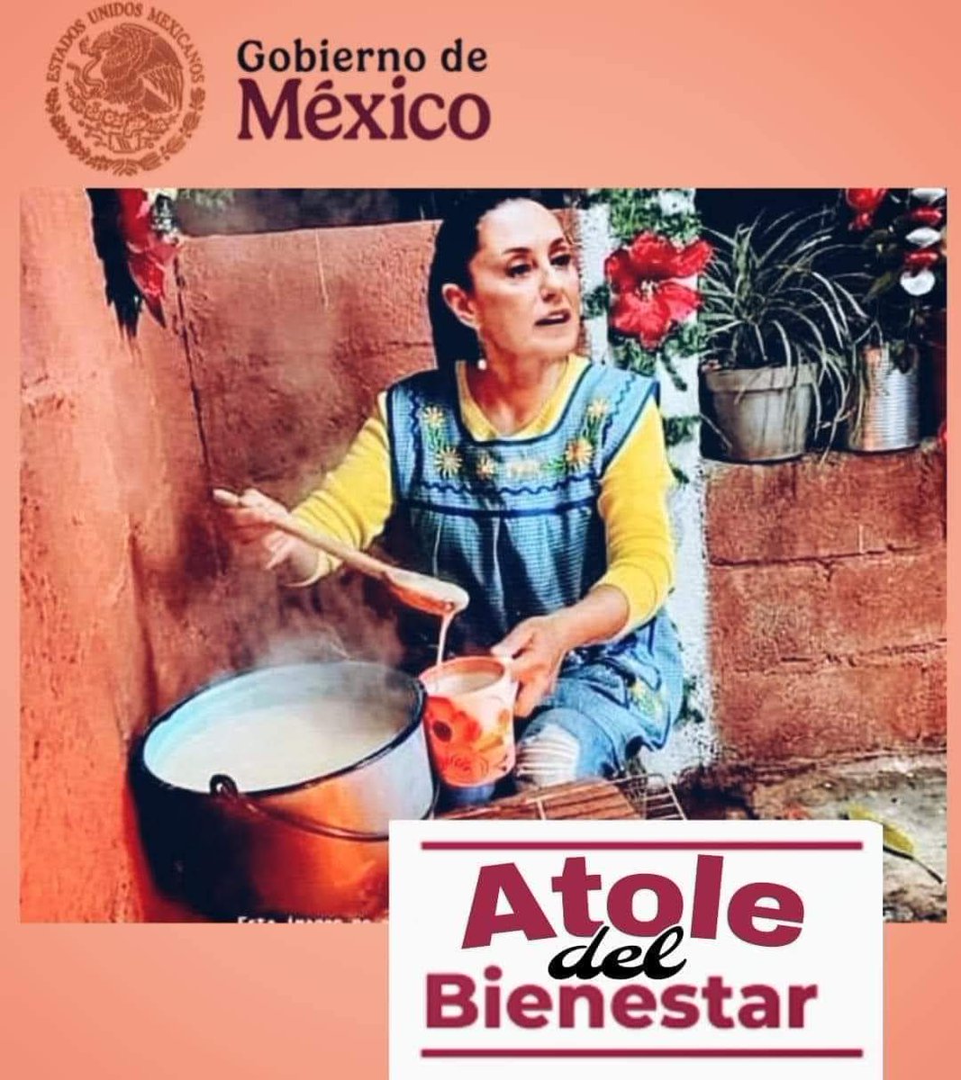 TheOpinionMX's tweet photo. @RicardoBSalinas #HayAtole sabor medicina, se sirve con el dedo o una pastilla cada 8 dias u 8 meses (no hay)

Llévele, llévele porque se acaba (literal)...

#PuroPendejo
#Distractor https://t.co/3qQugdP7xh