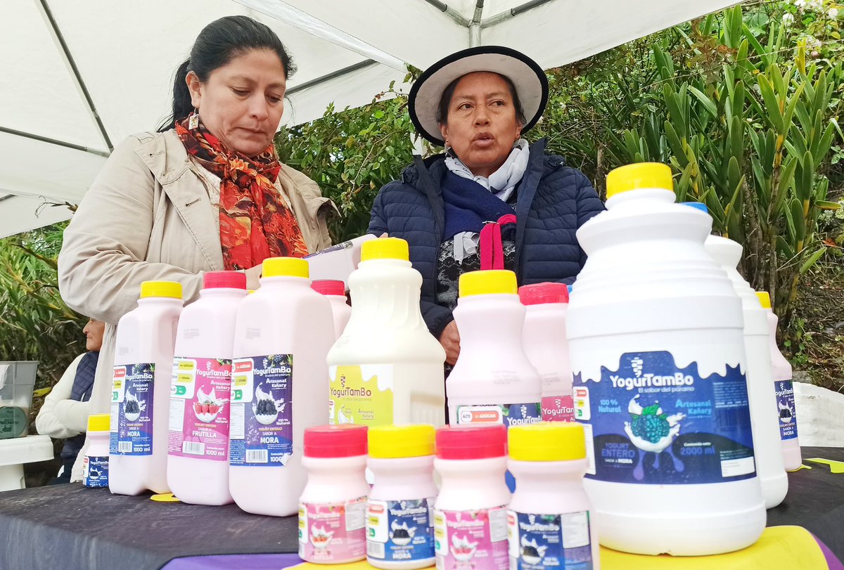 Arcsa_Ec's tweet photo. ¡En la Fiesta del Sol brilló la calidad! 🌞🙌🏽
Durante la popular celebración del #IntiRaymi que se realizó en #Ingapirca, emprendedores de #Cañar expusieron productos certificados por #Arcsa a los miles de visitantes que llegaron hasta este lugar.
#ElNuevoEcuador 🇪🇨 https://t.co/40mor3tgLB