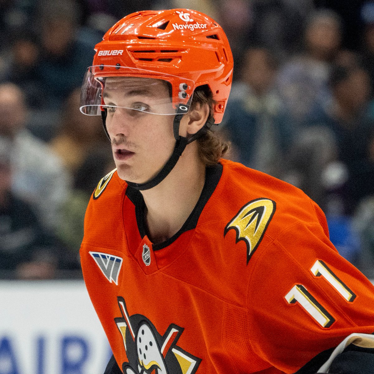 Sportsnet tweet media