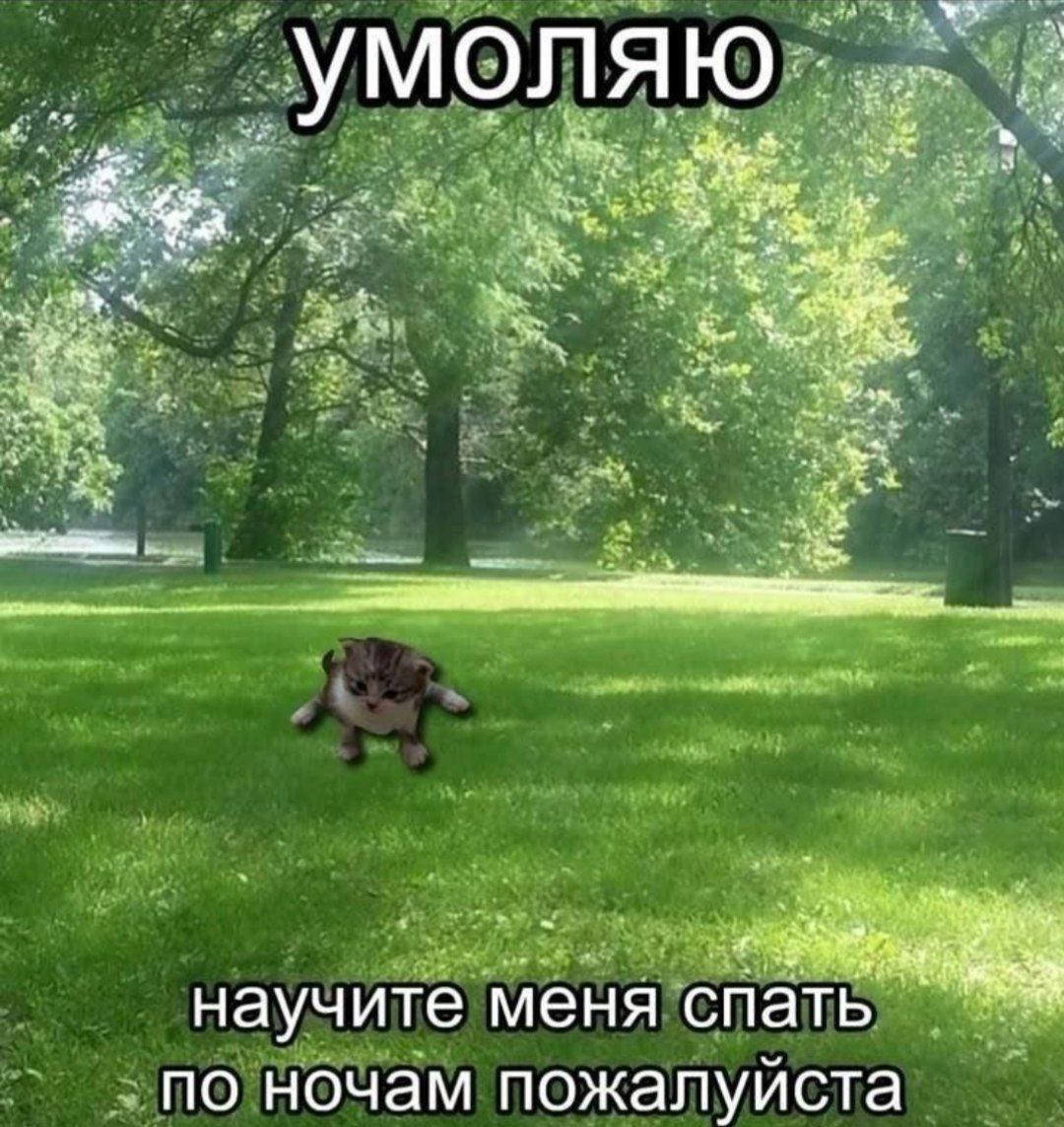 👑🌽Царь кукурузы🌽👑 (@kukuruzaleon) on Twitter photo 