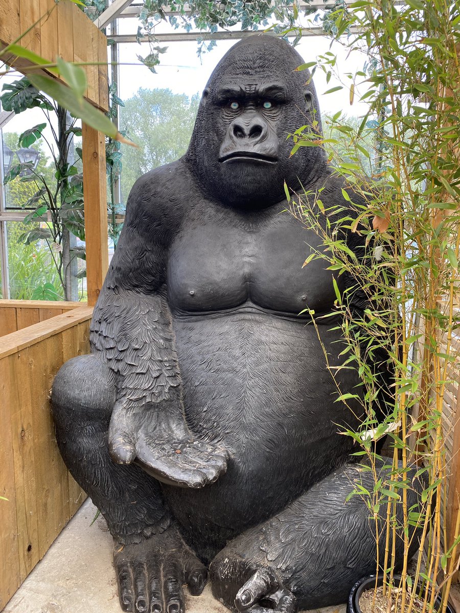 You never know what’s lurking around the corner at a garden centre…