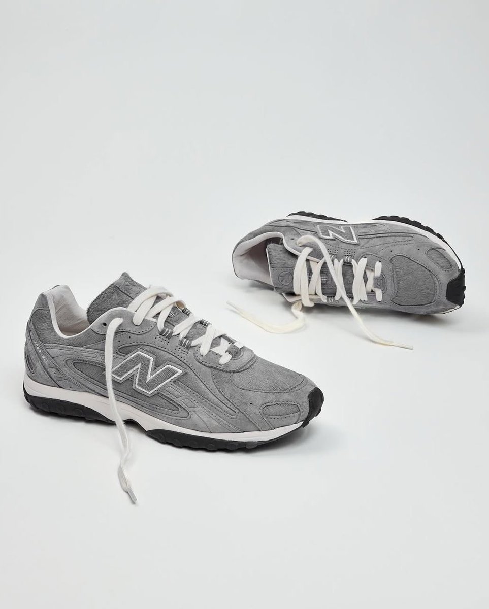 Modern Notoriety tweet media