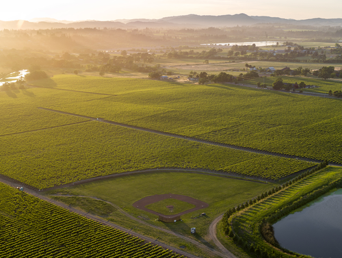 Bay Area Vintage Base Ball tweet media