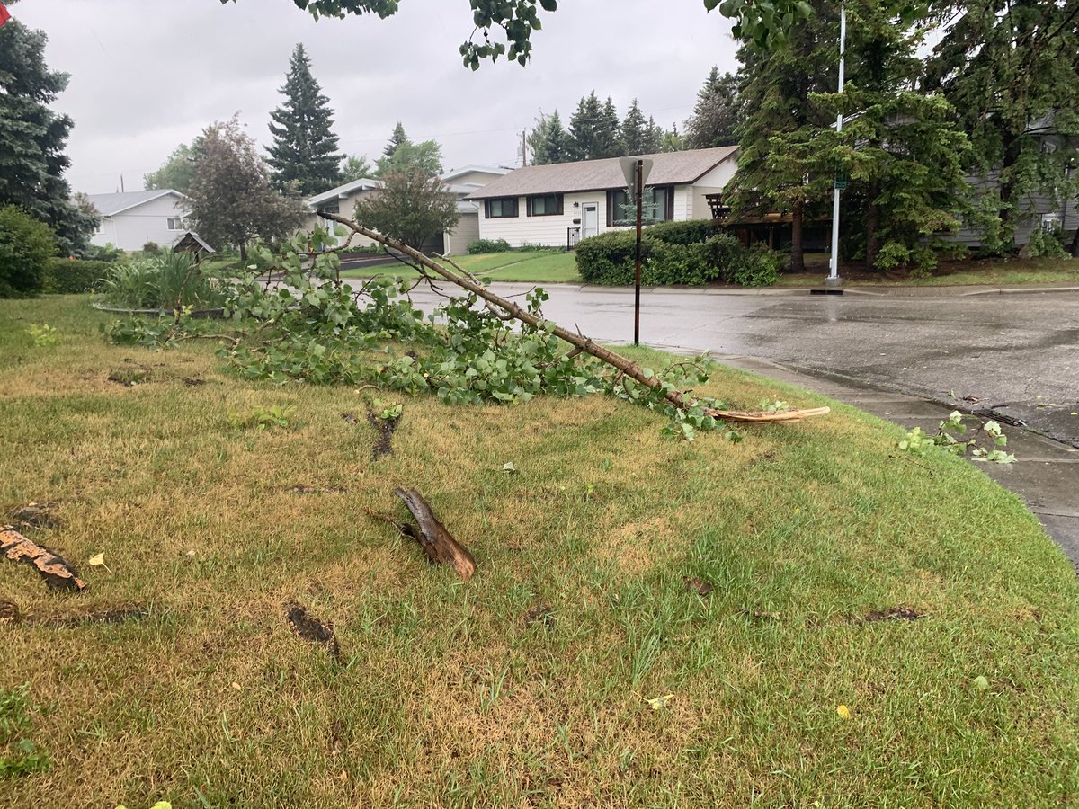 storm_prairie's tweet photo. @CTVdavidspence 88.4 mm in Varsity Friday to Saturday https://t.co/HF2ISNJ0Es