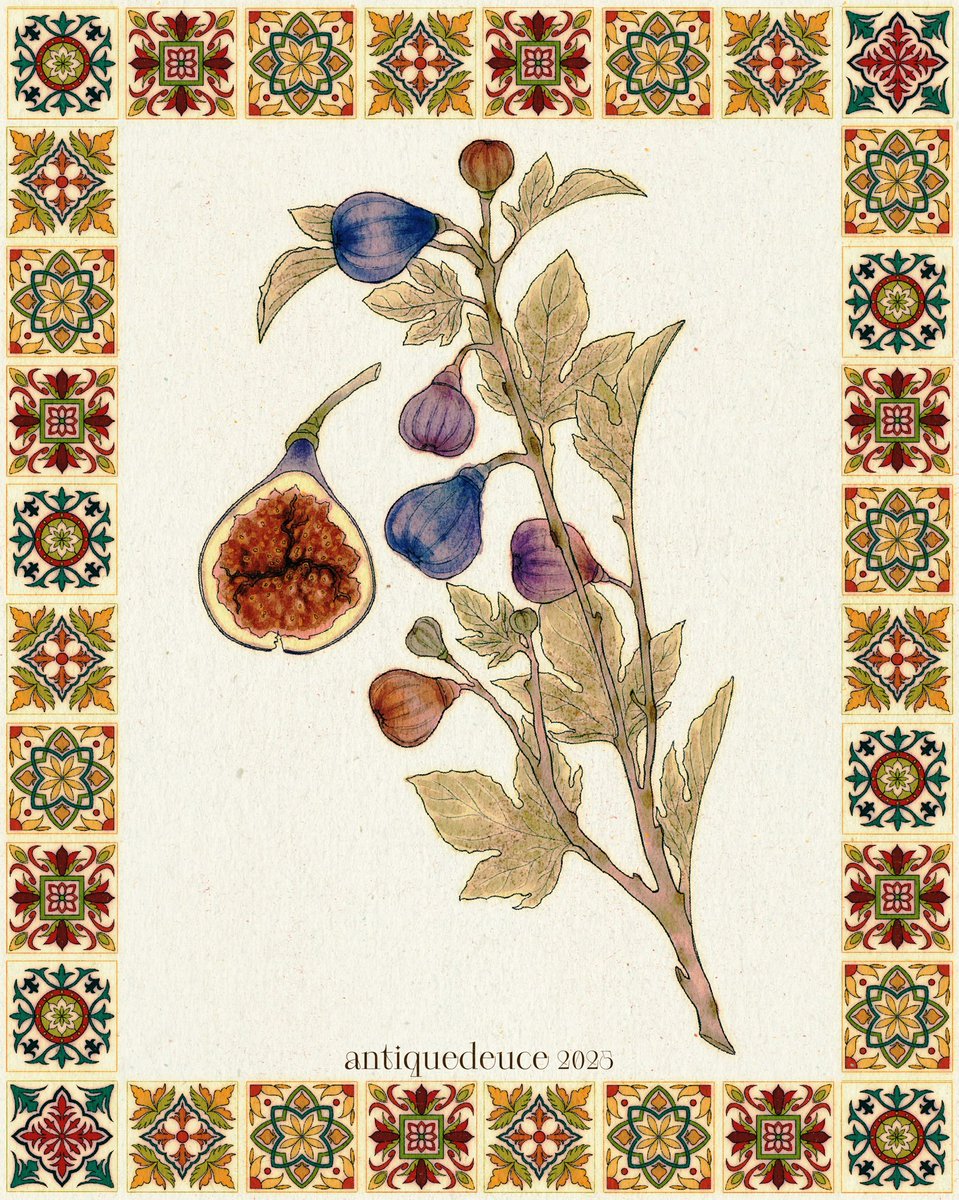 antiquedeuce's tweet photo. Will you be the fig for my pomegranate? ✹ https://t.co/IRjEbJQfPE