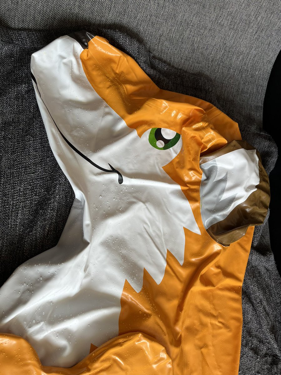 Gray (Grace) tweet media