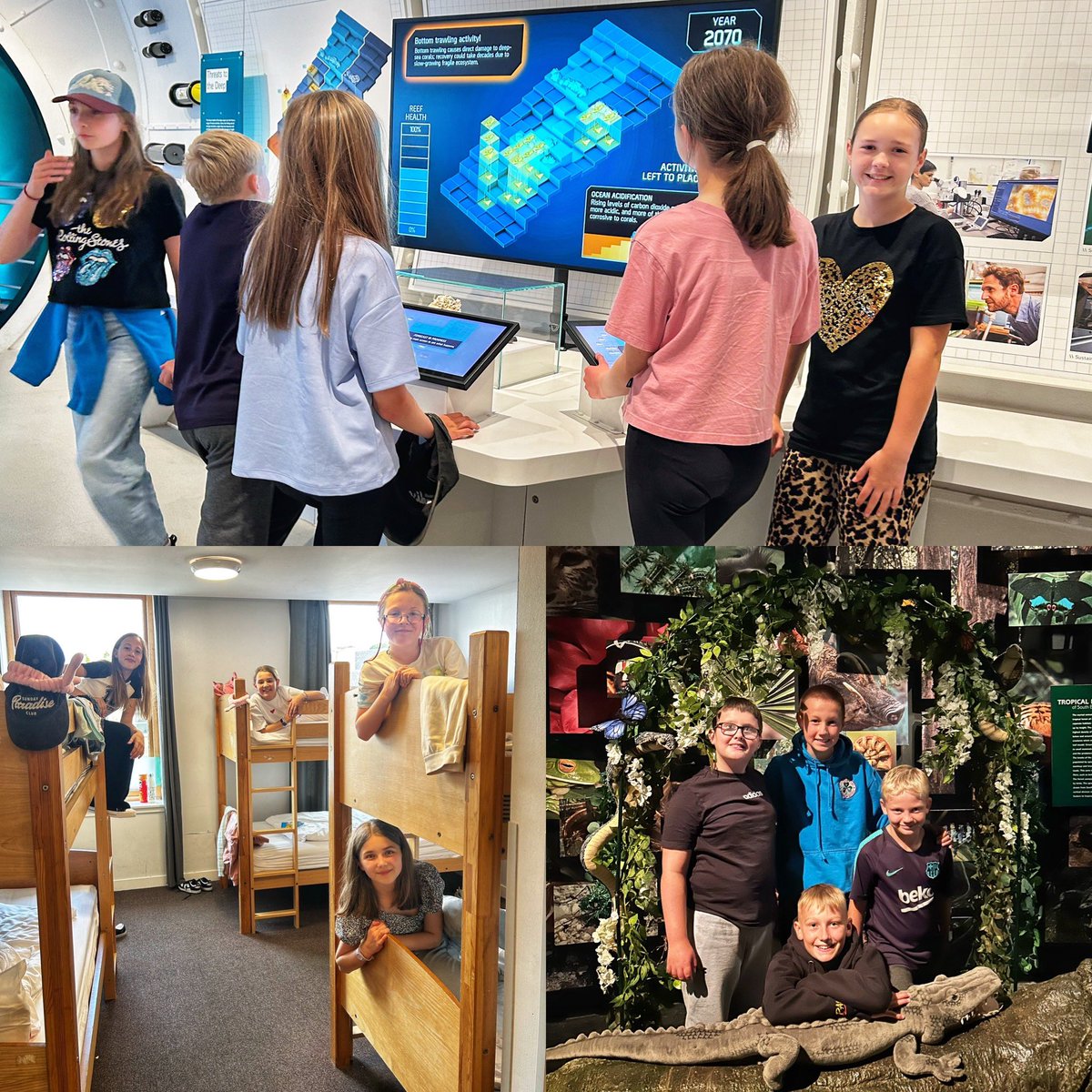 St Patrick's CE Primary School tweet media