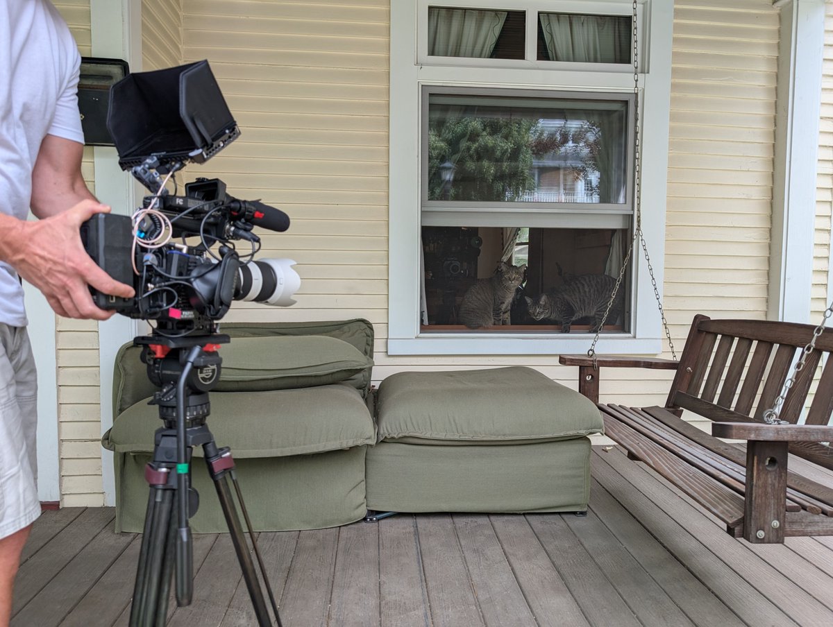 Happening now: I'm a "wildlife educator" participating in the filming of an animal TV show.