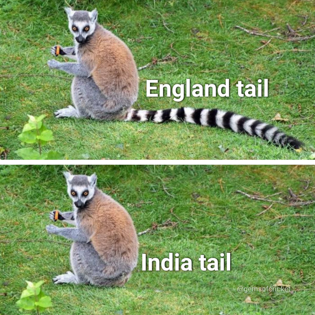 podtushar's tweet photo. This might cost India first test match.
#INDvsENGTest #ENGvIND #INDvENG https://t.co/XY9kyUUef8