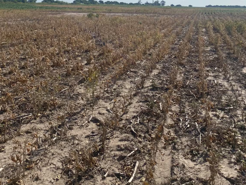 Espacios Políticos tweet media