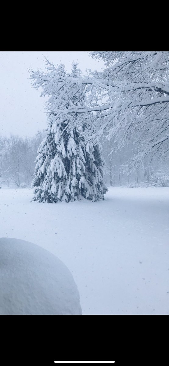 Can we have this right now?