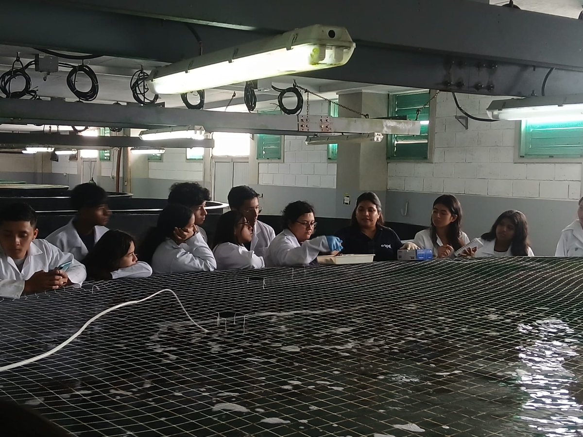 CENAIM (@cenaim_espol) on Twitter photo Con la finalidad de fortalecer sus conocimientos sobre las investigaciones que realizan en el campo acuícola un grupo de alumnos de la carrera de #Biología de la <a href="/UPSE_ec/">UPSE | Universidad Península de Santa Elena</a> visitaron las instalaciones del #CENAIM. Con la finalidad de fortalecer sus conocimientos sobre las investigaciones que realizan en el campo acuícola un grupo de alumnos de la carrera de #Biología de la <a href="/UPSE_ec/">UPSE | Universidad Península de Santa Elena</a> visitaron las instalaciones del #CENAIM.