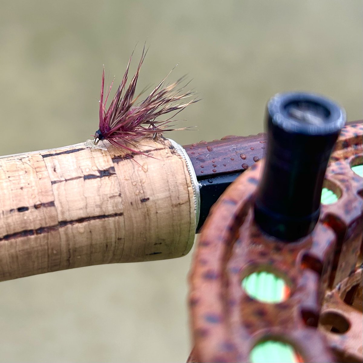 Mark Wilkinson tweet media