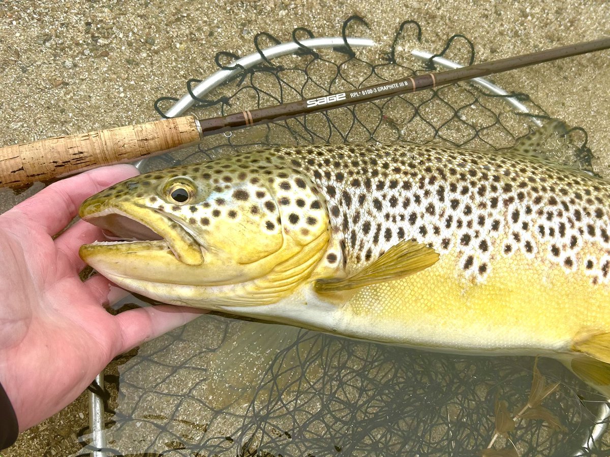 Mark Wilkinson tweet media