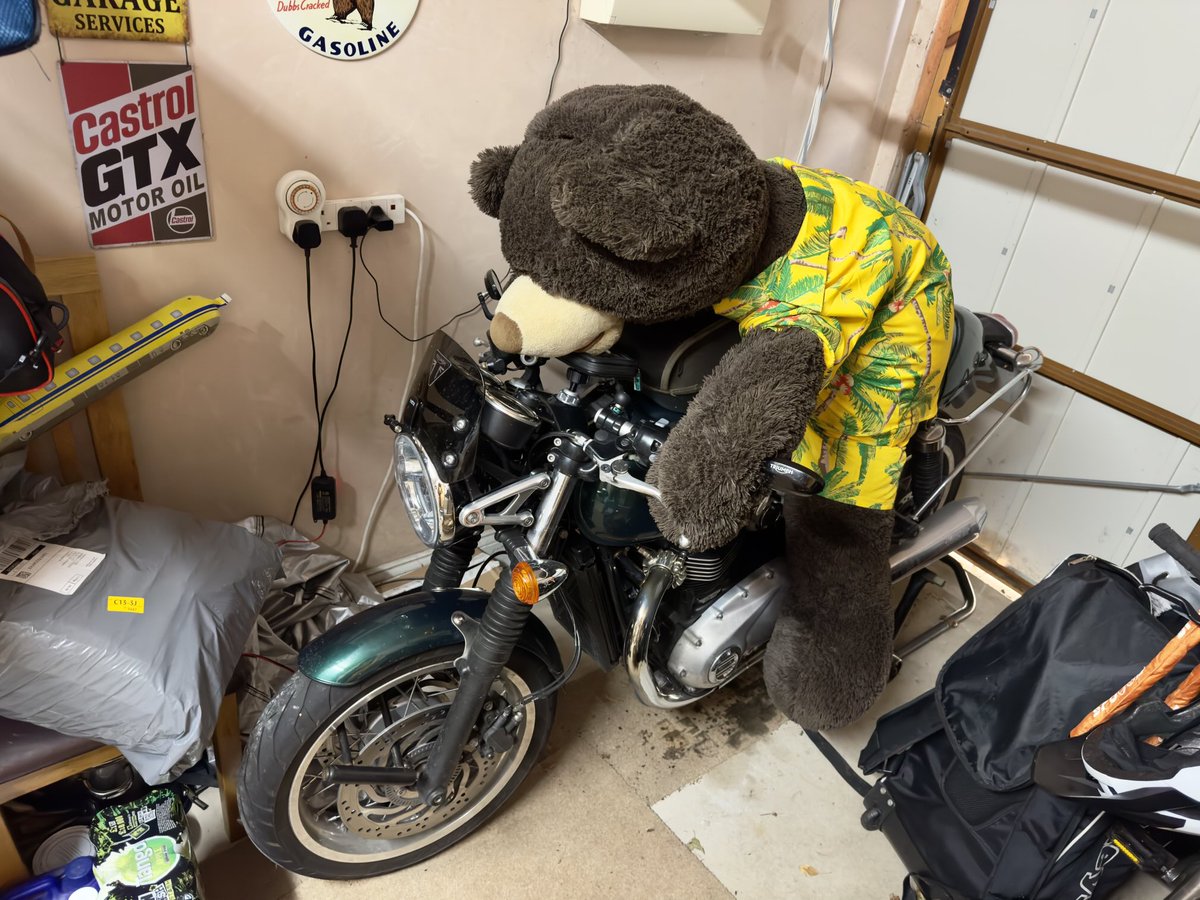 Scrappy practicing his racing crouch, just like his hero ⁦<a href="/toprak_tr54/">Toprak Razgatlıoğlu</a>⁩