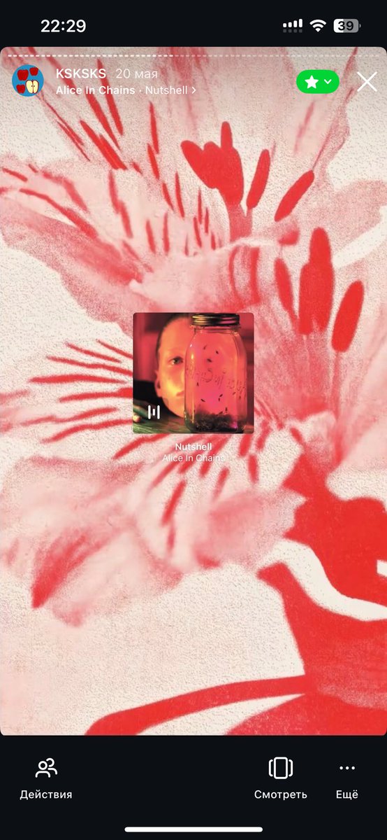 мистер принц tweet media