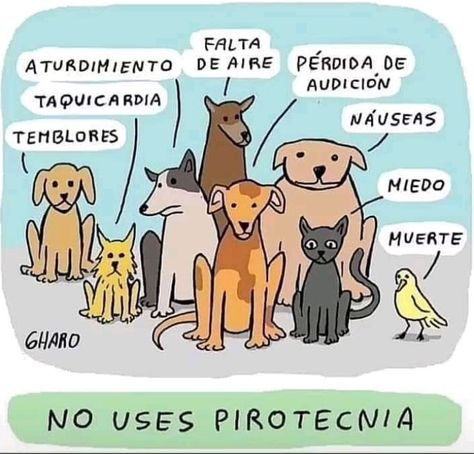 Disfrutad con responsabilidad!