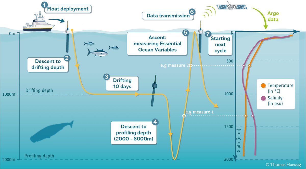 NOAAResearch's tweet image. Instruments like #Argo floats and drifters have revolutionized physical oceanography, improving:
🌩️#weather forecasts
🛟rescue efforts
🌊our understanding of the ocean’s role in Earth’s systems
Read all about it in this web-story by @NOAA_AOML
🔗aoml.noaa.gov/technologies-a…