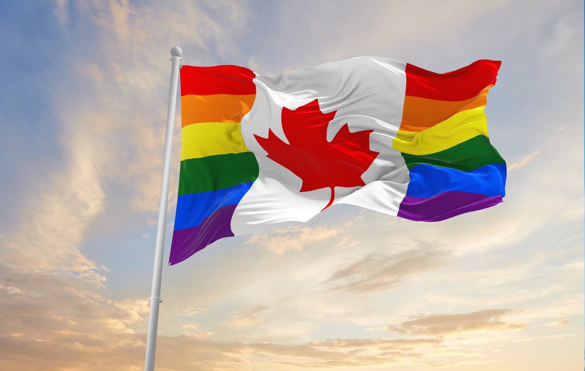 Did the Govt of Canada break National Flag Etiquette when they marked the Maple Leaf and presented it publicly, with rainbow colours?

The govt website says the flag should NEVER be marked, IN ANY WAY.

This is not the flag our vets fought under.

What nation is this?