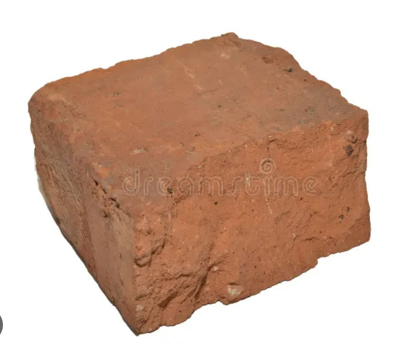 Marina Viola tweet media