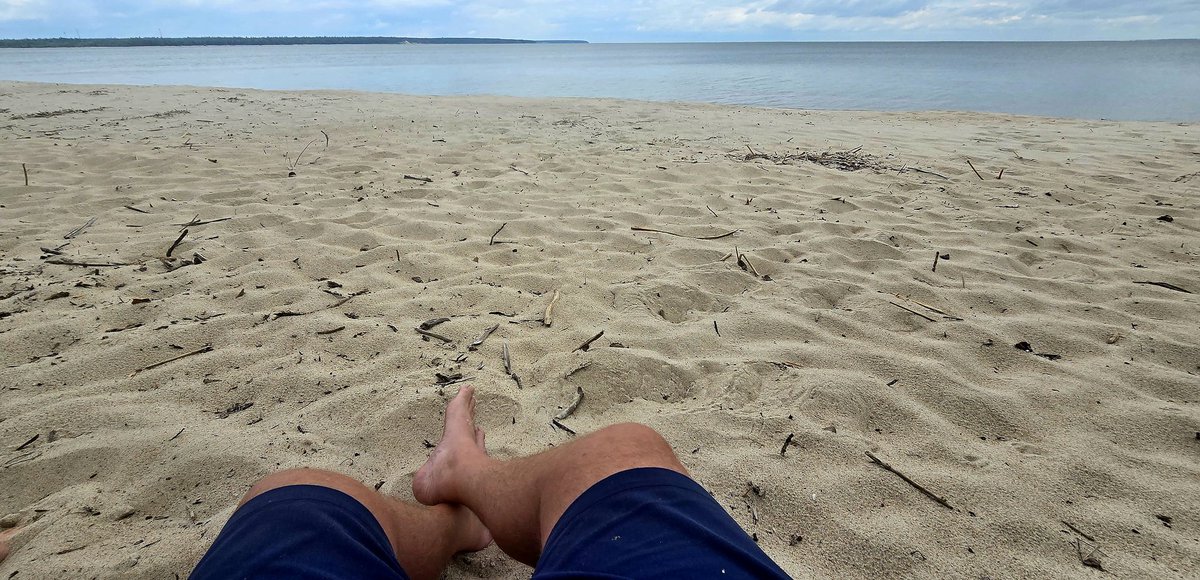 N0ideawhyimhere's tweet photo. Well, shit seems a lot simpler out here...

#AlbertBeach https://t.co/Y8npCcJZfh