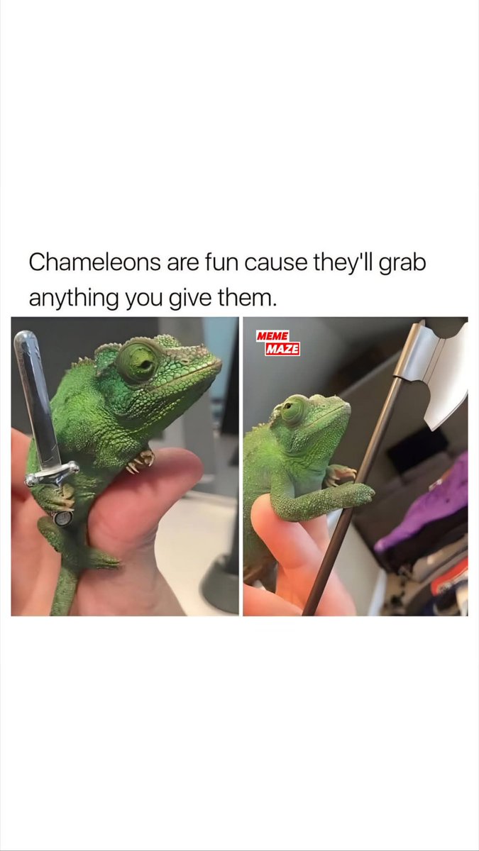 jamesmaude16's tweet photo. @Syndicate thoughts on doing this with Kevin 😂 https://t.co/imq7XP2U0A