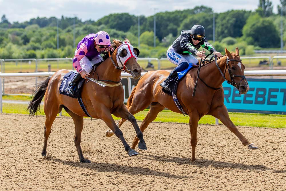 ⚫️🟢PURSUIT OF TRUTH🟢⚫️ 🥇Breaks his maiden🥇 <a href="/WolvesRaces/">Wolverhampton Races</a> under a textbook ride from <a href="/davidprobert9/">David probert</a> 👌🏽 Congratulations to all winning connections and a big well done to the team at home 👏
#winner #kpfracing #loveracing #horseracing