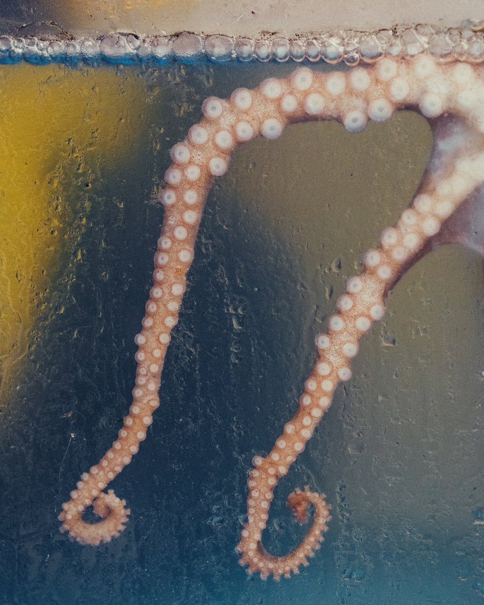 à Séoul, il y a des aquariums dans la rue, c'est trop inspirant pour créer des photos, je me suis régalé