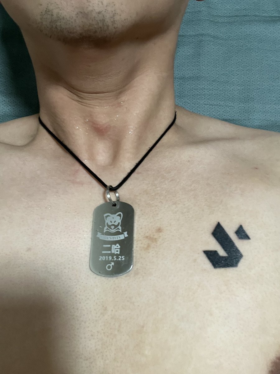 类人型犬类生命体 tweet media