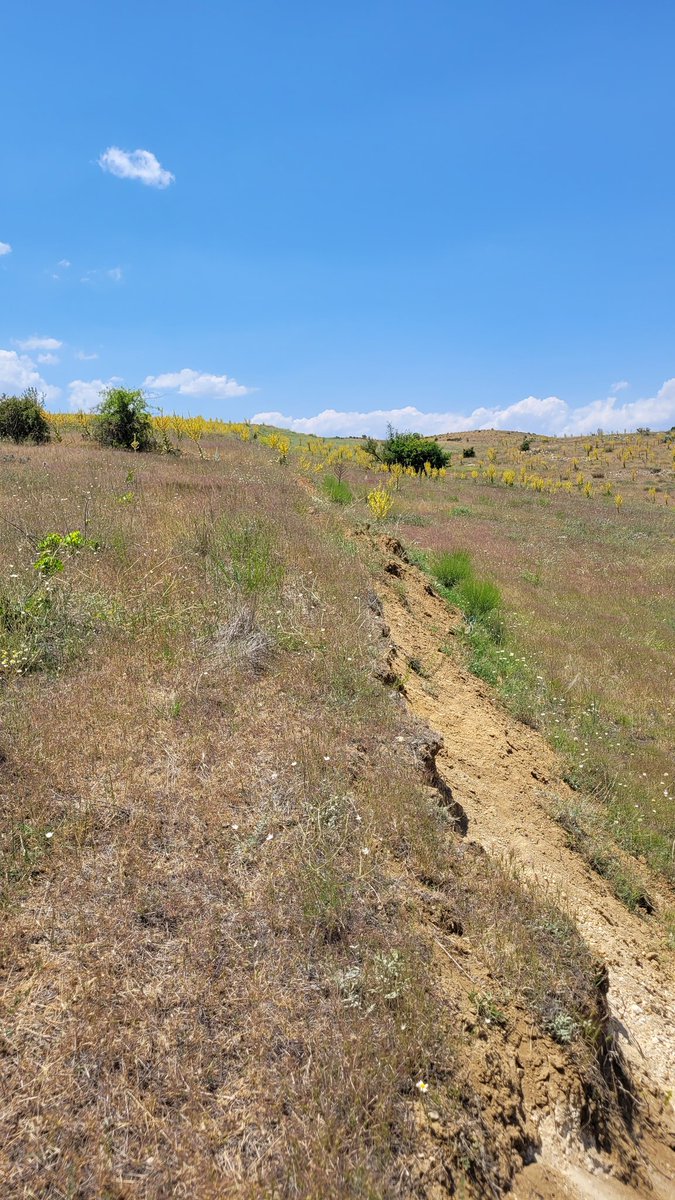 Ekinözü'ndeyiz. Halka tatlıyı kiloyla yedik. Tepsiyde tava yemeğinin tadına baktık. Devasa fay atımlarını gördük. Fay üzerinde 30 deprem ölçer istasyon kurduk. #deprem #iüc