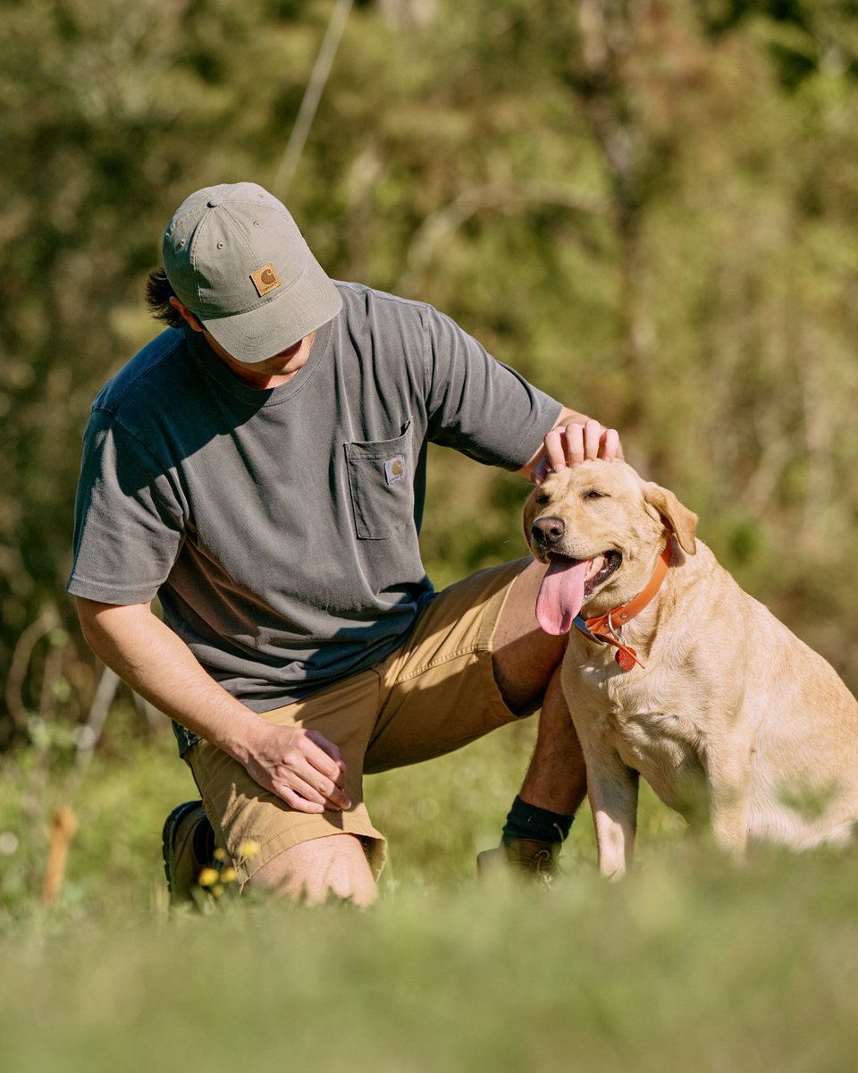 Side by side, through thick and thin.