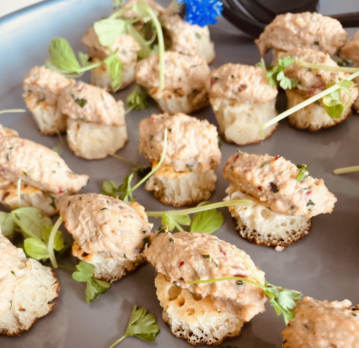 Ruthtee2011Ruth's tweet photo. Fabulous dishes prepared by our chefs @WrekinCol for the cricket guests today. https://t.co/dBjvaZziyF